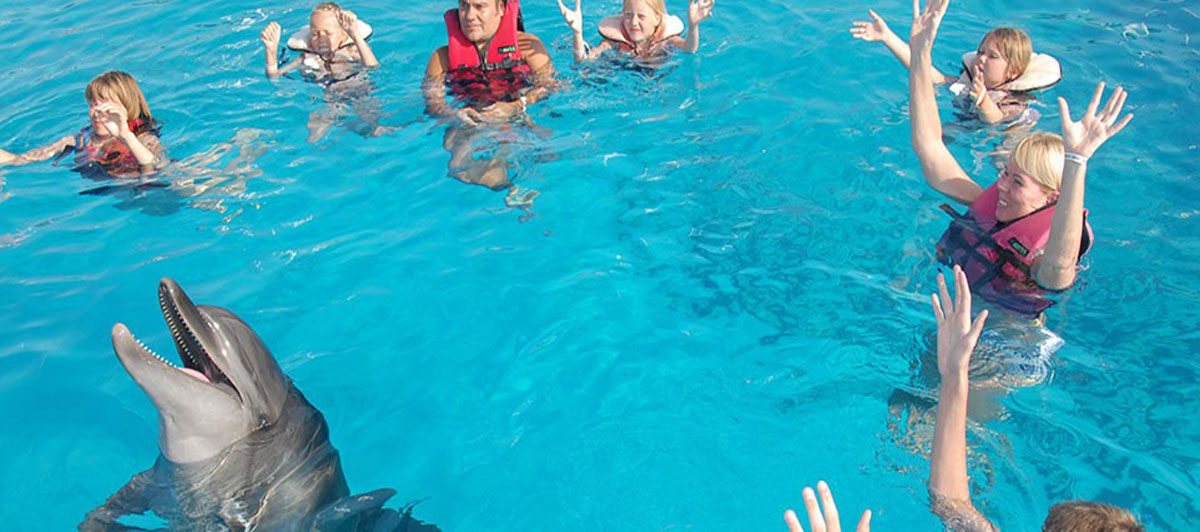 allistanbul transfer 